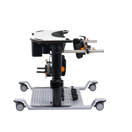 Elvis balance training equipment