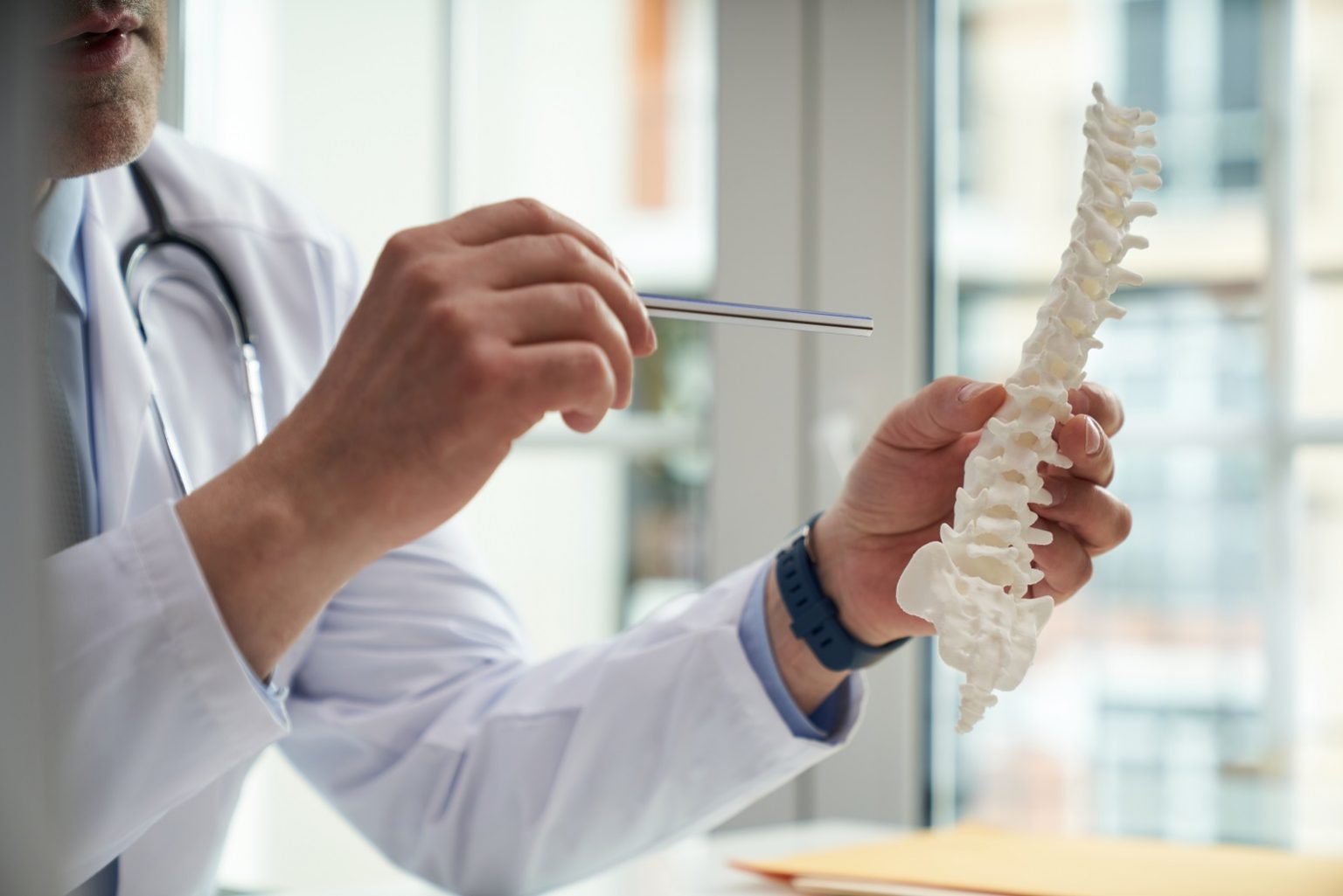 Healthcare Worker holding a model of human spine