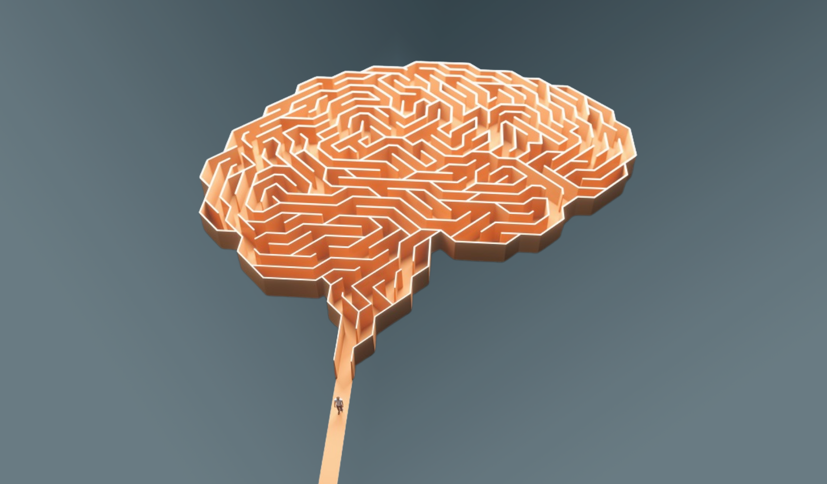 Picture of a brain in orange color in front of a dark background