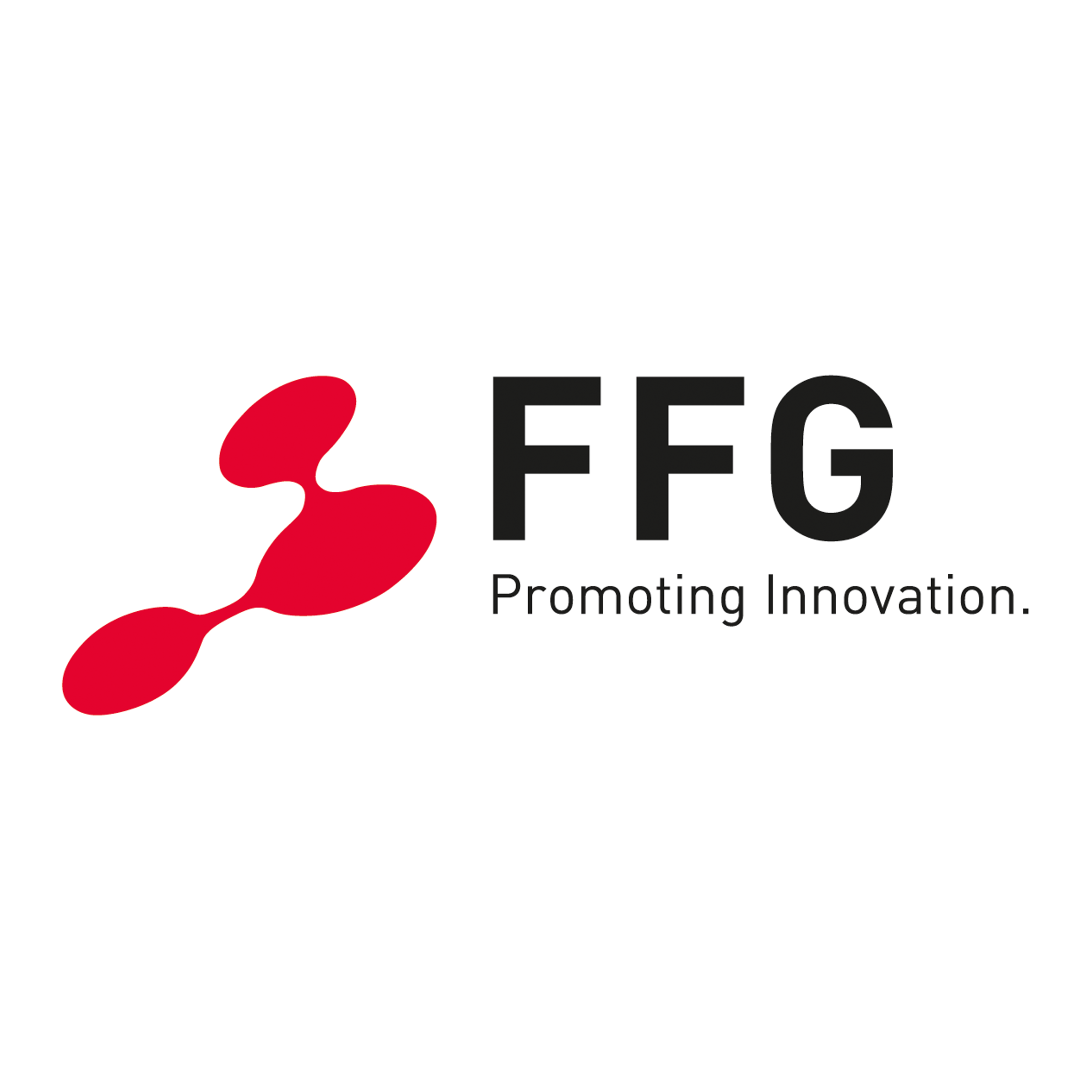 FFG Logo