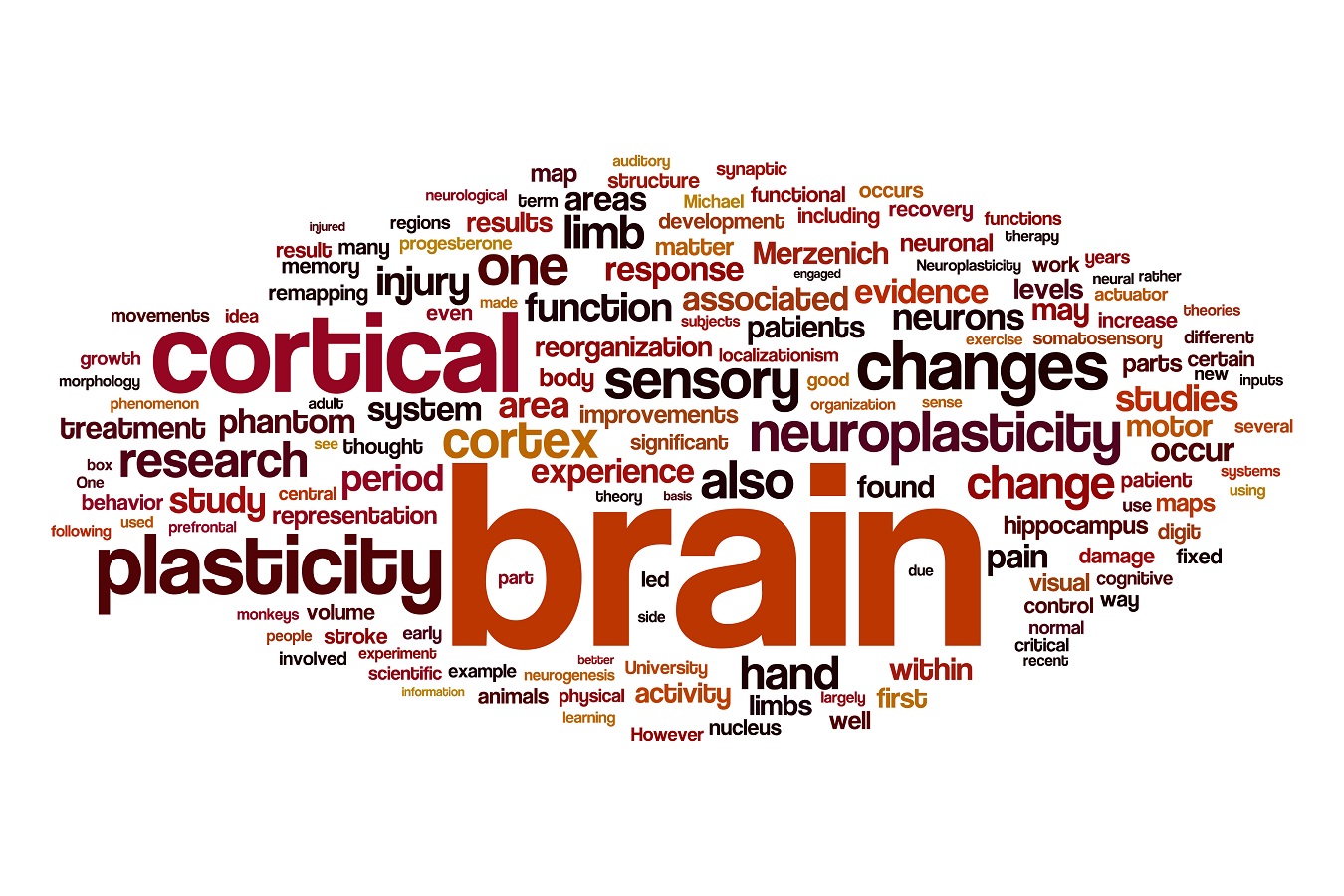 Illustration of a brain with word cloud